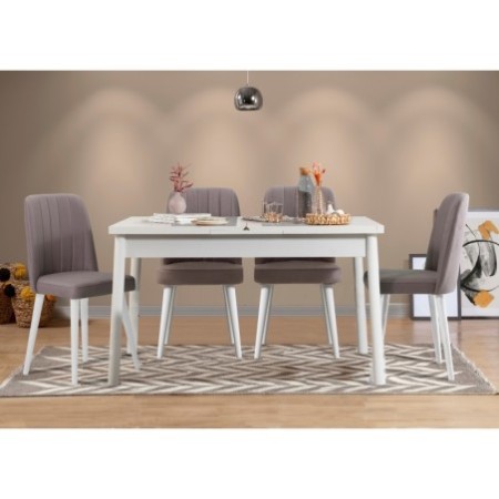 Set mesa comedor extensible y sillas (5 piezas) Santiago gris blanco - 869VEL5278