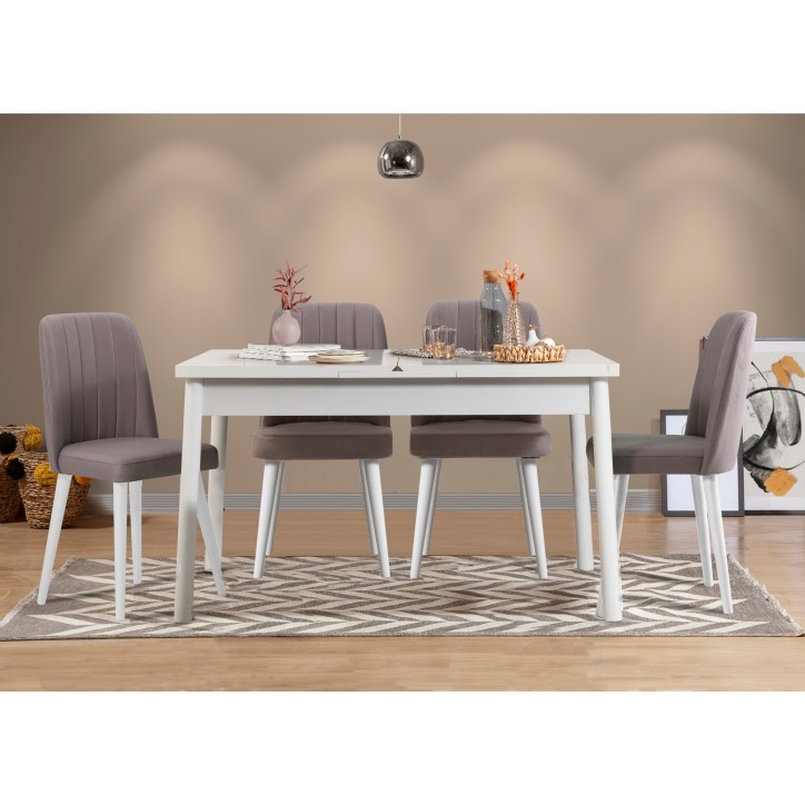 Set mesa comedor extensible y sillas (5 piezas) Santiago gris blanco