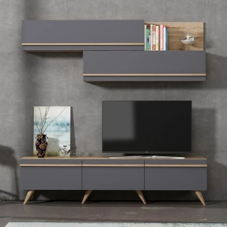 Mueble TV Amsterdam Antracita Nogal