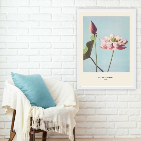 Cuadro decorativo enmarcado BC523362-5575 multicolor 55x75 cm