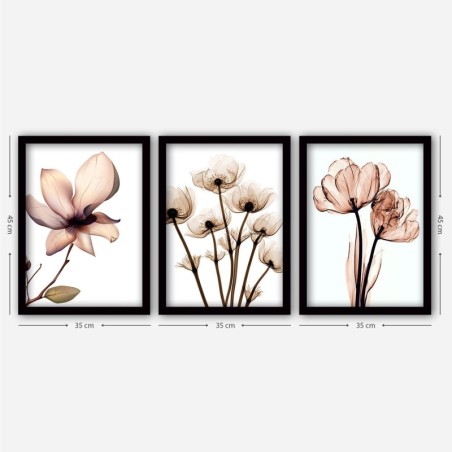 Cuadro decorativo enmarcado 3SC157 multicolor 35x45 cm (3 piezas)