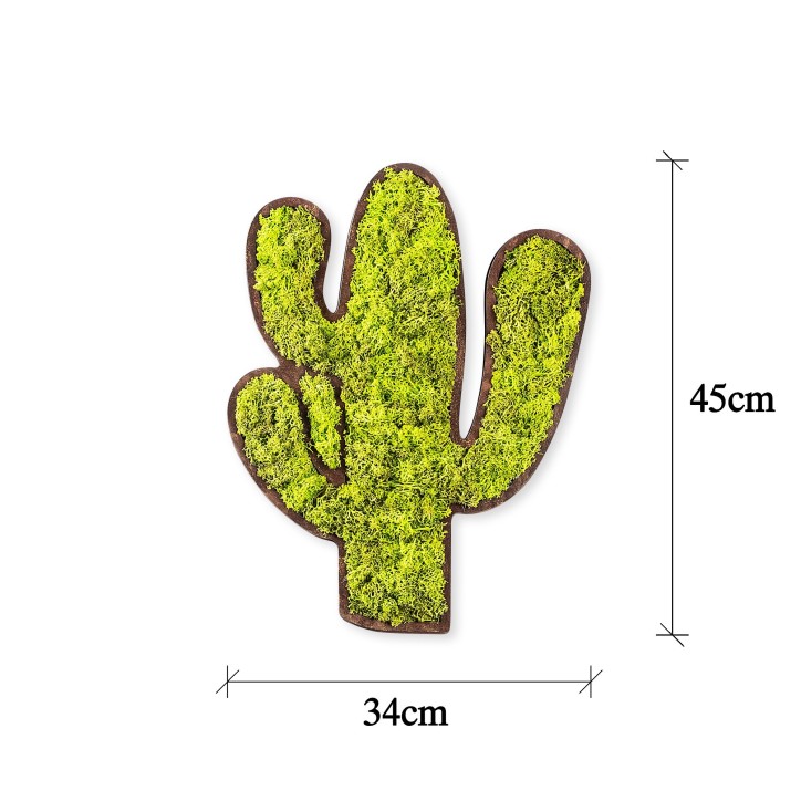 Decoración pared Cactus verde blanco 34x1.6x45 cm