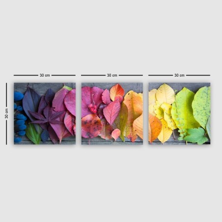 Pintura decorativa lienzo P2253353 multicolor 90x30 cm