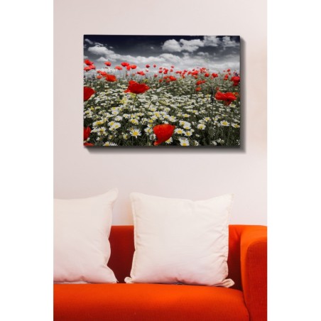 Pintura decorativa lienzo Kanvas Tablo-60 multicolor 70x100 cm