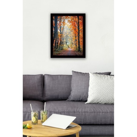 Pintura decorativa enmarcada MDF SC0033 multicolor 41x56 cm