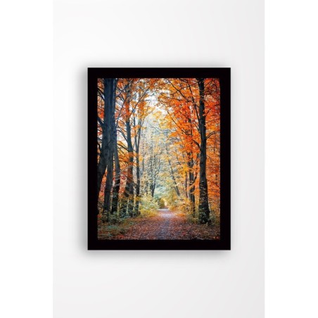 Pintura decorativa enmarcada MDF SC0033 multicolor 41x56 cm