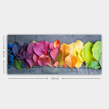 Pintura decorativa lienzo YTY225930193_50120 multicolor 50x120