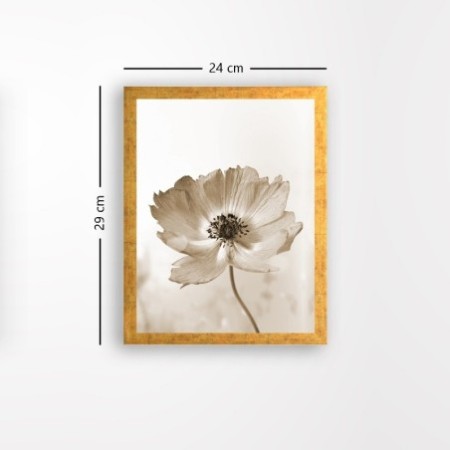 Pintura decorativa enmarcada MDF AC1680333027 multicolor 24x29 cm