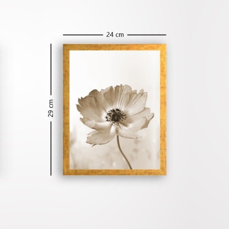 Pintura decorativa enmarcada MDF AC1680333027 multicolor 24x29 cm