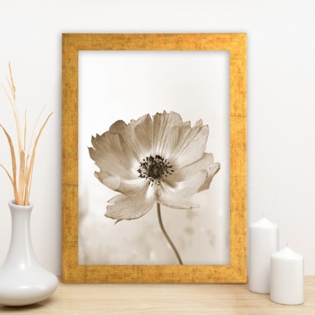 Pintura decorativa enmarcada MDF AC1680333027 multicolor 24x29 cm