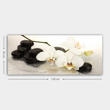Pintura decorativa lienzo YTY187362956_50120 multicolor 50x120