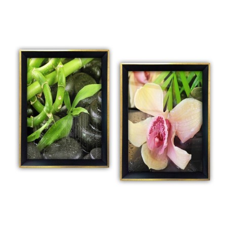 Cuadro decorativo enmarcado SYC7436502515514 multicolor 35x45 cm (2 piezas)