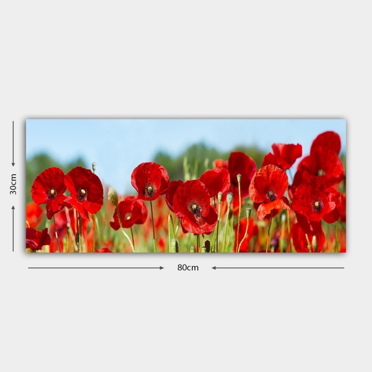 Pintura decorativa lienzo YTY1006066429_3080 multicolor 30x80 cm