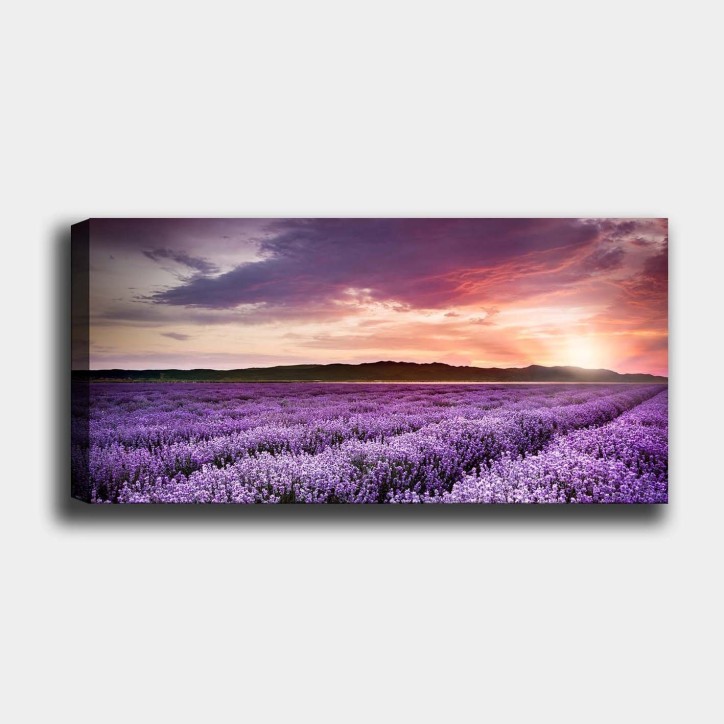 Pintura decorativa lienzo YTY446431585_50120 multicolor 50x120 Pintura decorativa lienzo YTY446431585_50120 multicolor 50x120