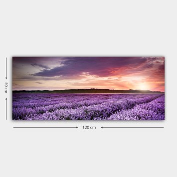 Pintura decorativa lienzo YTY446431585_50120 multicolor 50x120