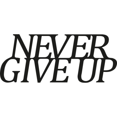 Decoración pared de metal Never Give Up negro 50x20 cm