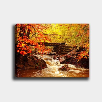 Pintura decorativa lienzo 112378139_70100 multicolor 70x100 cm