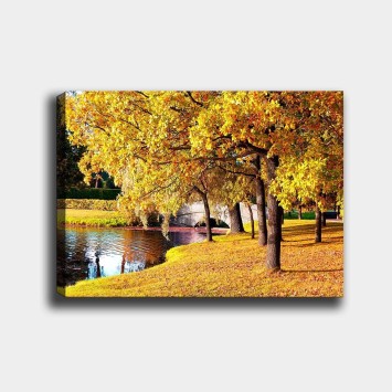 Pintura decorativa lienzo 329288630_70100 multicolor 70x100 cm