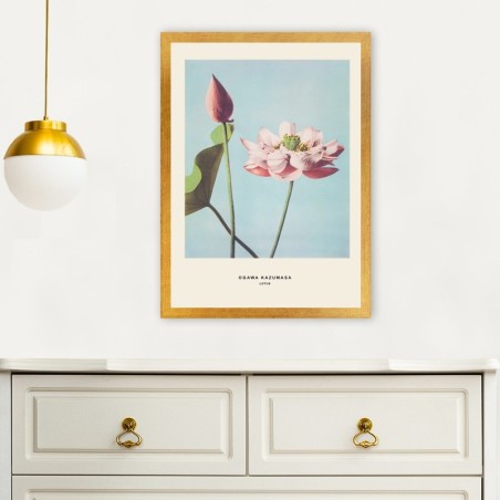 Cuadro decorativo enmarcado AC523362-3545 multicolor 35x45 cm