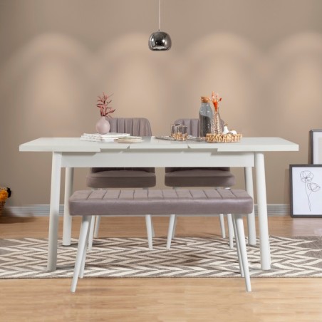 Set mesa comedor extensible y sillas (4 piezas) Santiago gris blanco